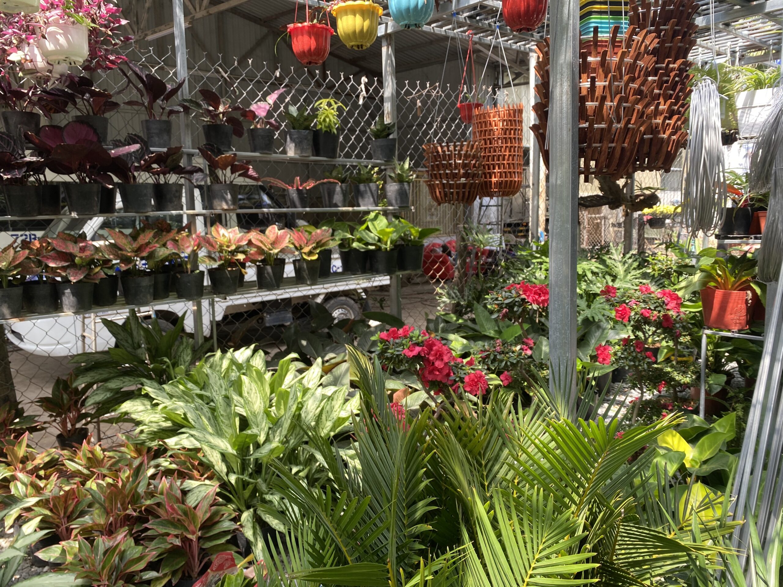 Mộc Lâm Garden – Cửa hàng bán cây cảnh, bonsai đẹp tại Vũng Tàu